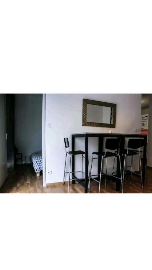 Bel Appartement Proche Du Canal Du Midi 툴루즈 외부 사진