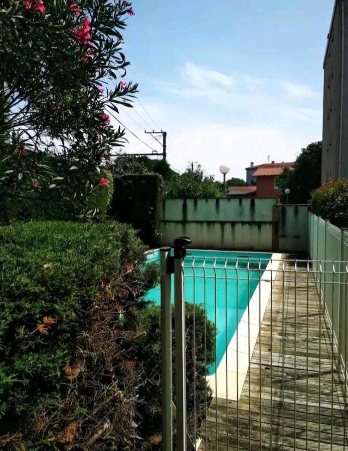 Bel Appartement Proche Du Canal Du Midi 툴루즈 외부 사진