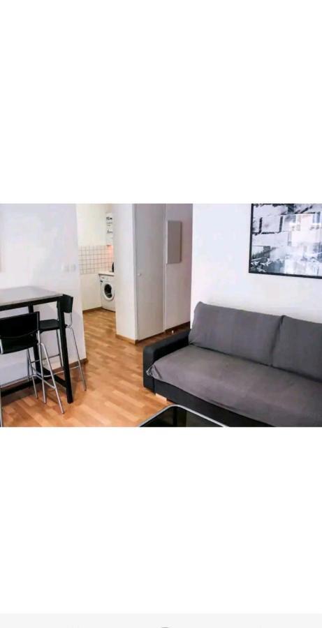 Bel Appartement Proche Du Canal Du Midi 툴루즈 외부 사진
