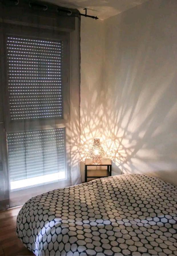 Bel Appartement Proche Du Canal Du Midi 툴루즈 외부 사진